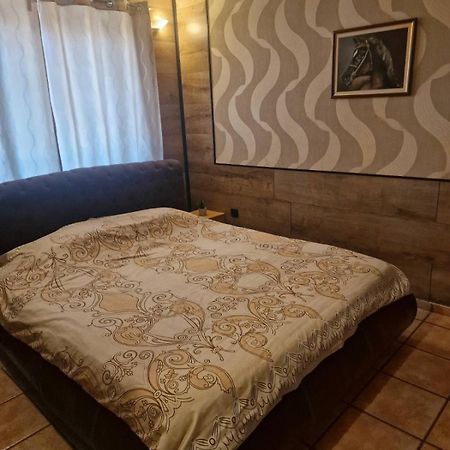 Guest House Maja Novi Sad Bagian luar foto